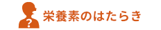 栄養素のはたらき