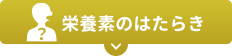 栄養素のはたらき