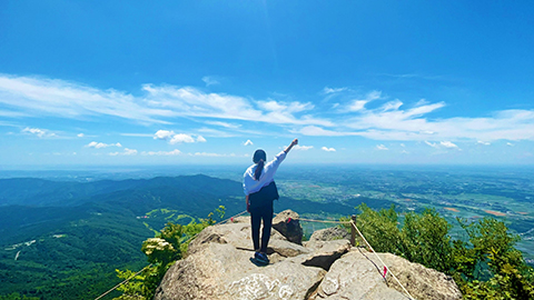 Brand profile suzuki a