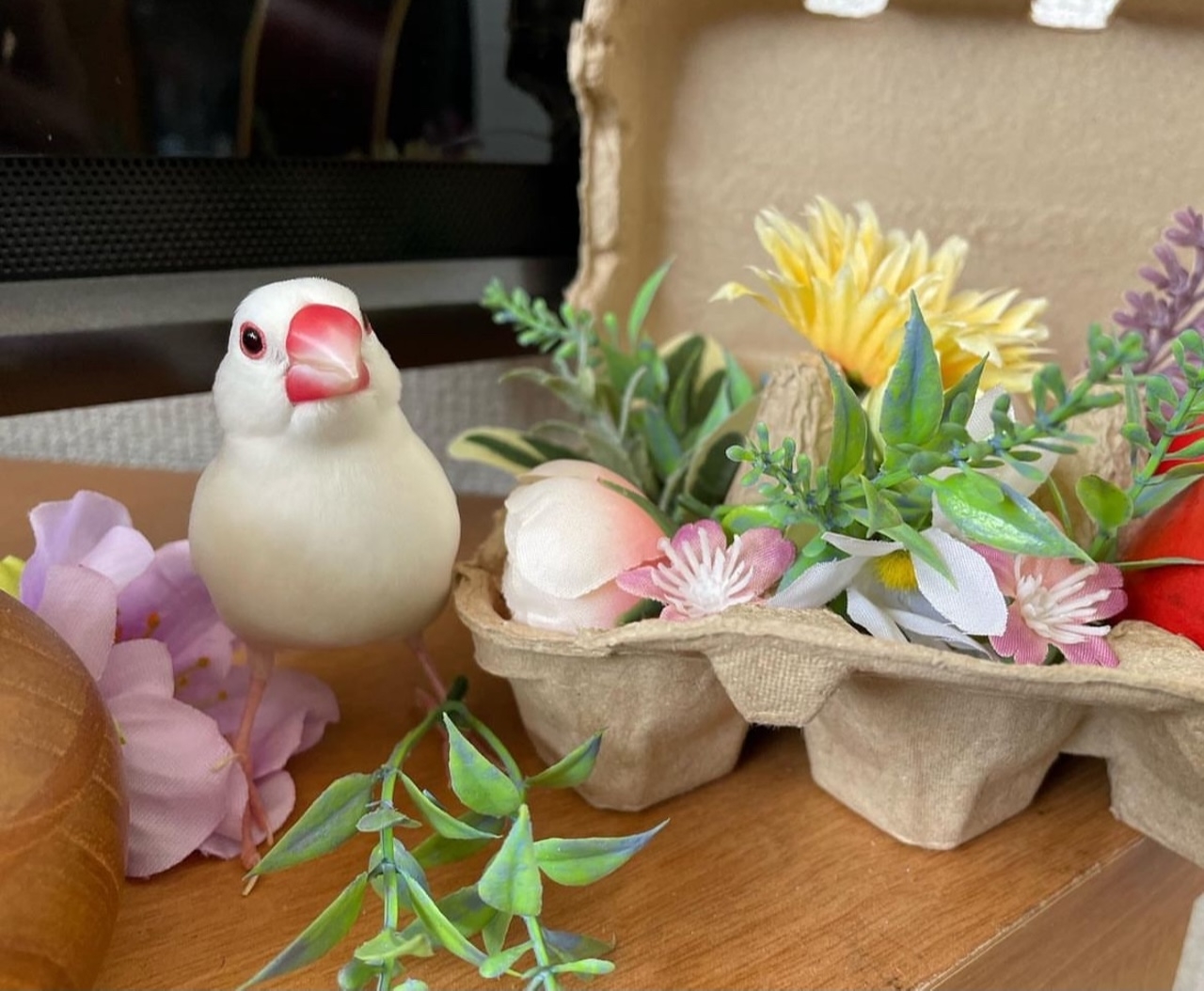 Brand profile ueno i