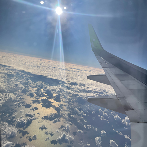 Brand profile yokouchi